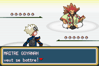 Pokemon CHROME GBA
