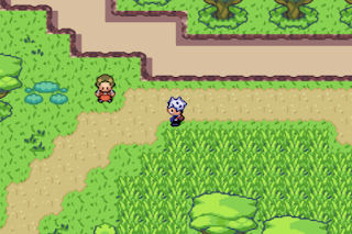 Pokemon CHROME GBA