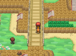 Pokemon Chaos Purple
