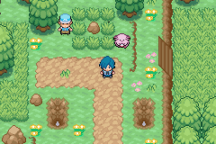 Pokemon Xenon GBA