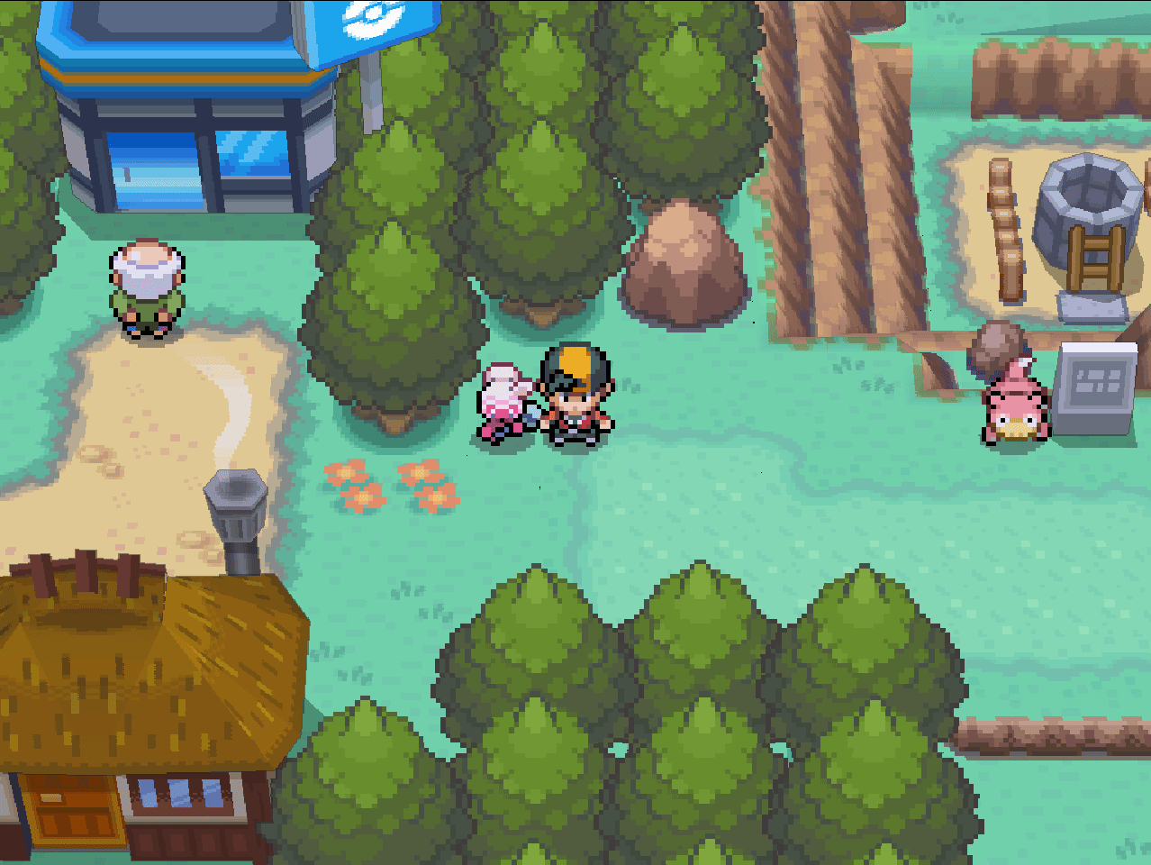 Pokemon HeartGold Generations
