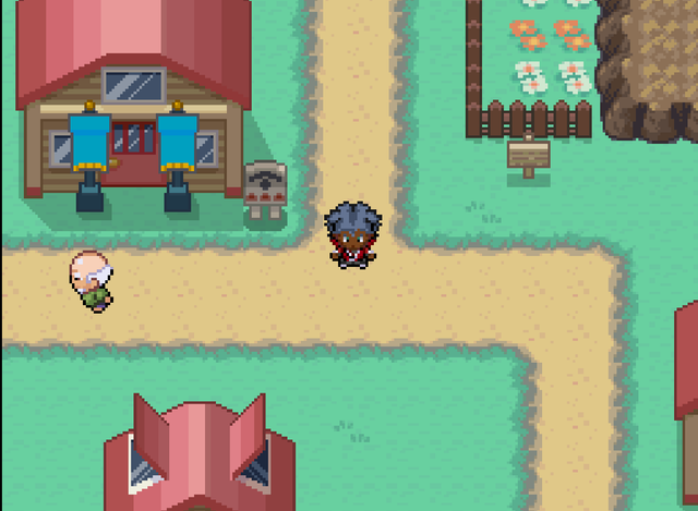 Pokemon Game