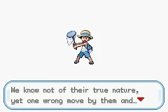 Pokemon Arthropoda Dytiscid GBA
