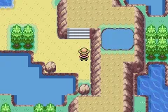 Pokemon Arthropoda Dytiscid GBA