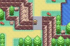 Pokemon Arthropoda Dytiscid GBA