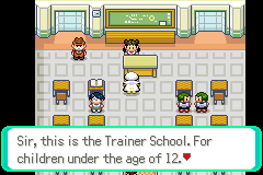 Pokemon Too Many Types 2 GBA