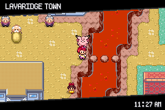 Pokemon Too Many Types 2 GBA