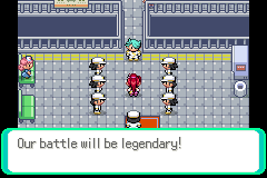 Pokemon Too Many Types 2 GBA