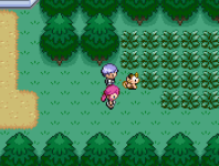 Pokemon Emerald Azure GBA