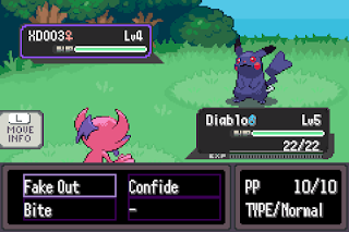 Pokemon Shadow Realm GBA