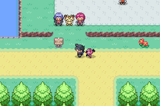 Pokemon Shadow Realm GBA