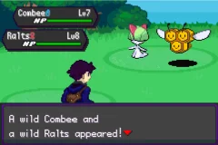 Pokemon Amethyst